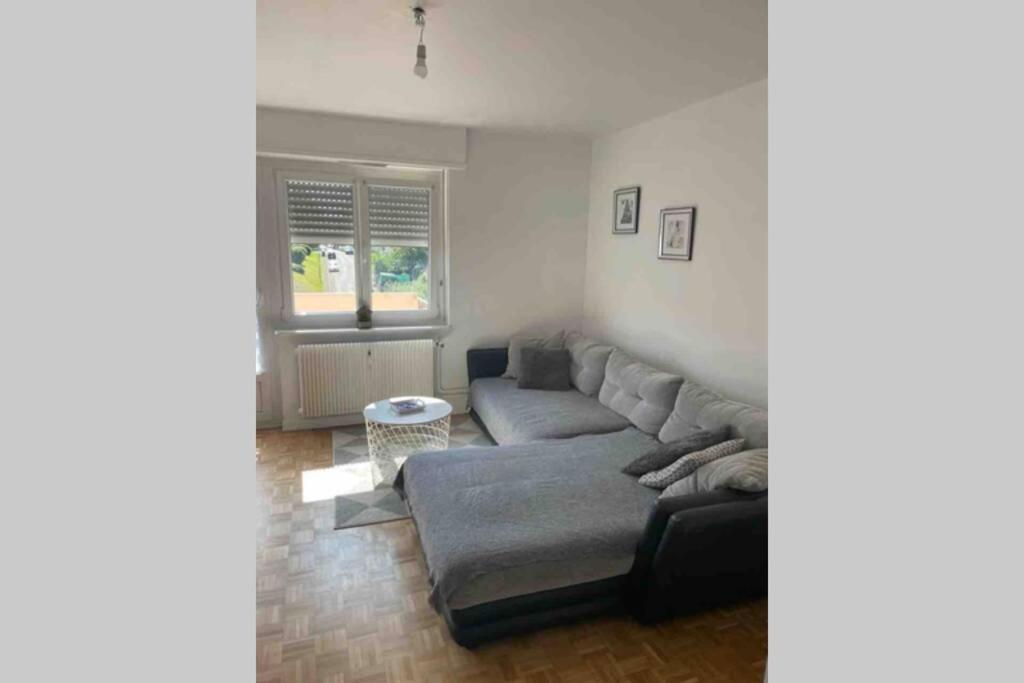 Tres Bel Appartement F4 Proche Gare Riedisheim Exterior foto